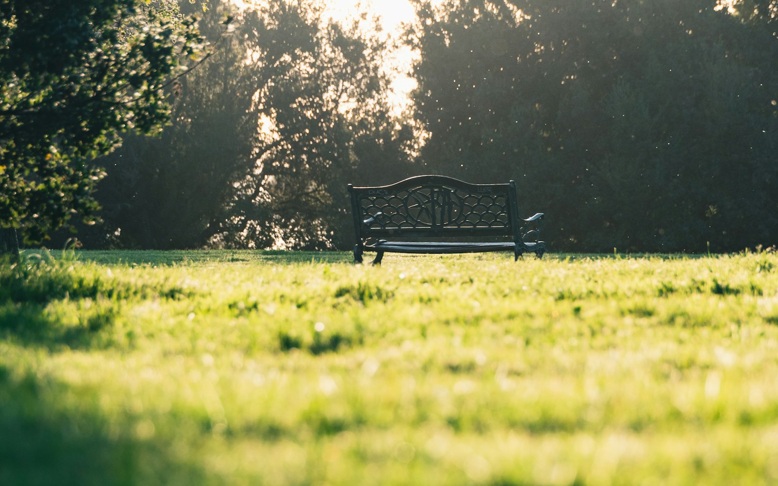 Happy to Chat Bench